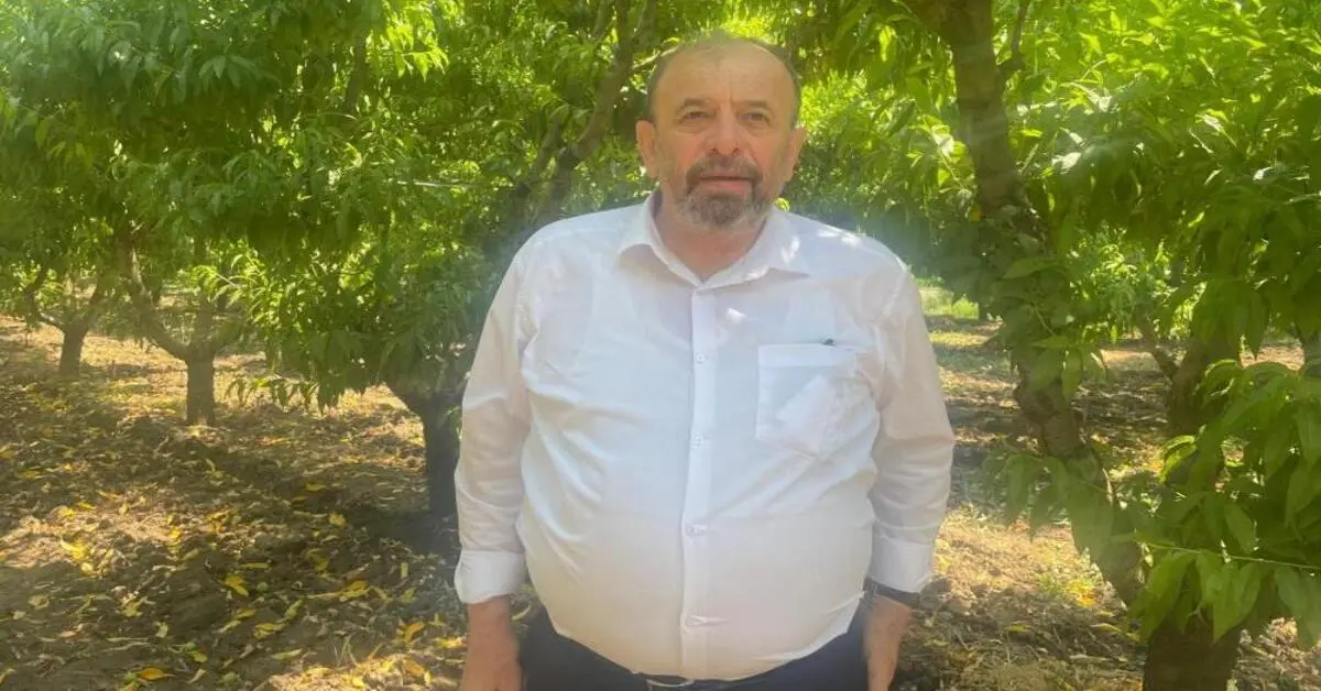 Genç Gazete Bursa’da Şeftali Hasadı Başladı Fiyatlar Yüz Güldürmüyor 2