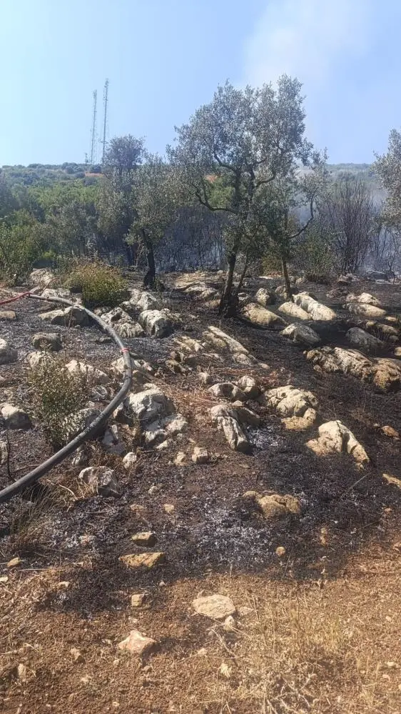 Genç Gazete Bursa'da Tarladan Yükselen Alevlere Havadan Ve Karadan Müdahale 1
