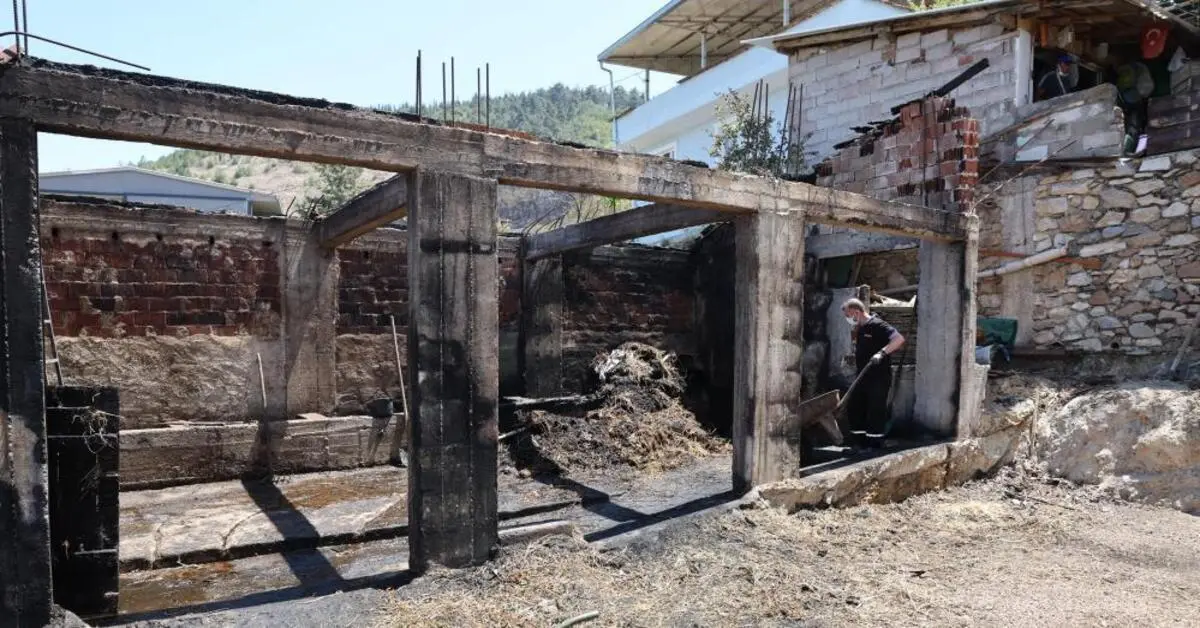 Genç Gazete Bursa’da Yangın Tehlikesi Büyüyor Her 7 Dakikada Bir İhbar 1