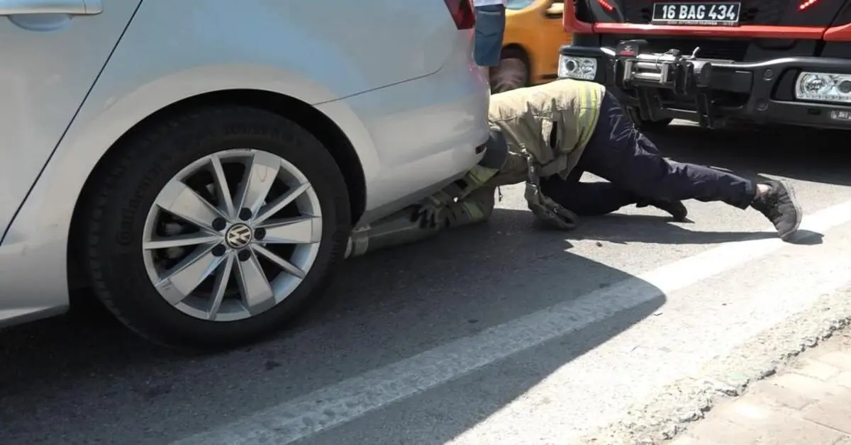 Genç Gazete Bursa'da Yavru Kedi Trafiği Kilitledi İtfaiye Seferber Oldu 1
