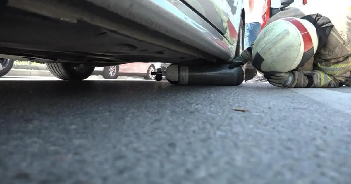 Genç Gazete Bursa'da Yavru Kedi Trafiği Kilitledi İtfaiye Seferber Oldu 2