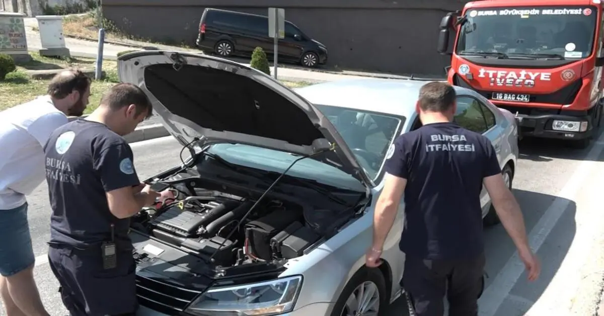 Genç Gazete Bursa'da Yavru Kedi Trafiği Kilitledi İtfaiye Seferber Oldu