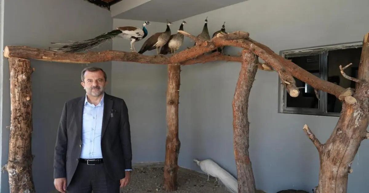 Genç Gazete Gürsu’ya Butik Hayvanat Bahçesi Geliyor 1