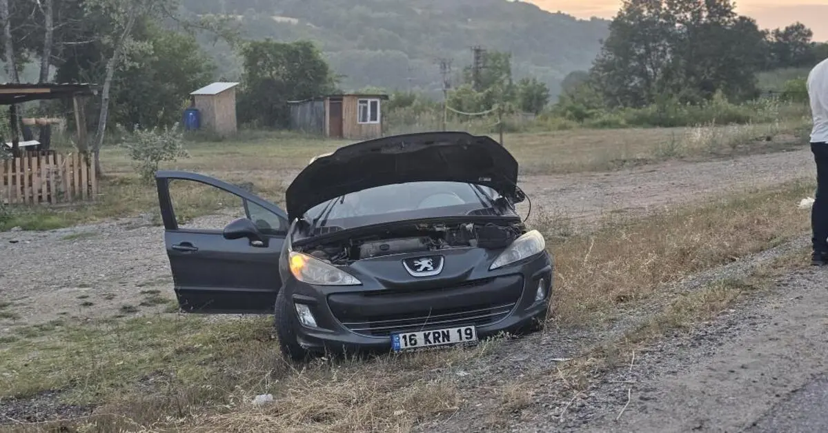 Genç Gazete İnegöl Domaniç Yolunda İki Otomobil Kafa Kafaya Çarpıştı 3 Yaralı 11