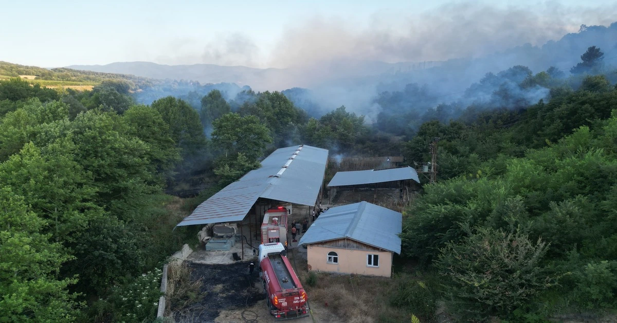 Genç Gazete İnegöl'de Çalılık Yangını Ormana Sıçradı Ekipler Müdahale Ediyor-1