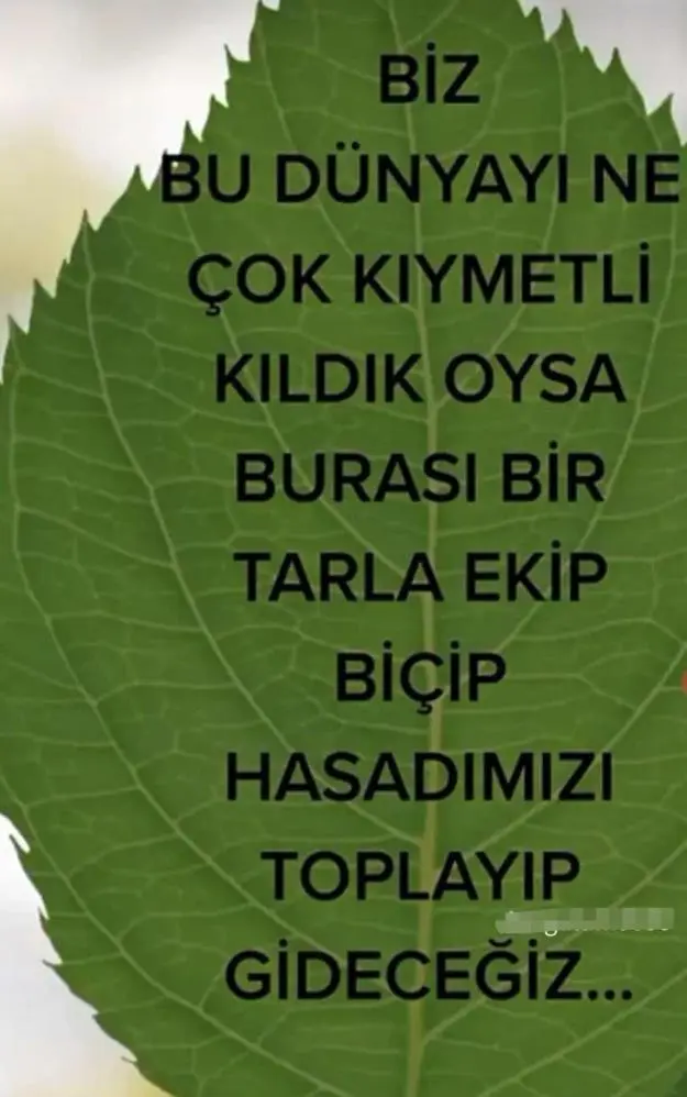 Genç Gazete İnegöl'de Öldürülen Kadının Son Paylaşımı Yürekleri Burktu 2