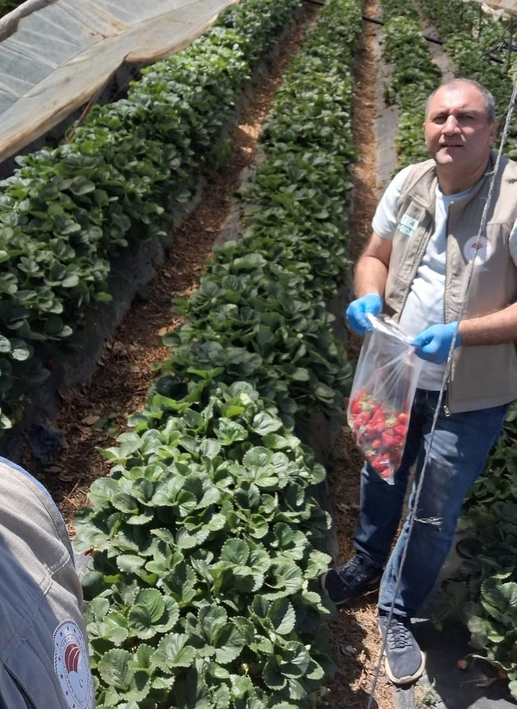 Genç Gazete İnegöl'de Tarladan Sofraya Denetim Pestisit Analizleri Sürüyor-1