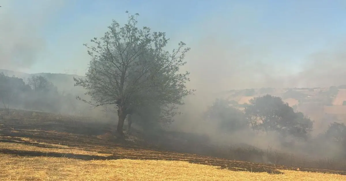 Genç Gazete Kestel’de Orman Yangını! Alevlere Havadan Ve Karadan Müdahale Sürüyor
