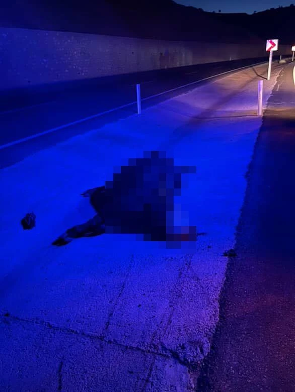 Genç Gazete Otomobil Yola Çıkan İneğe Çarptı 3 Yaralı 1