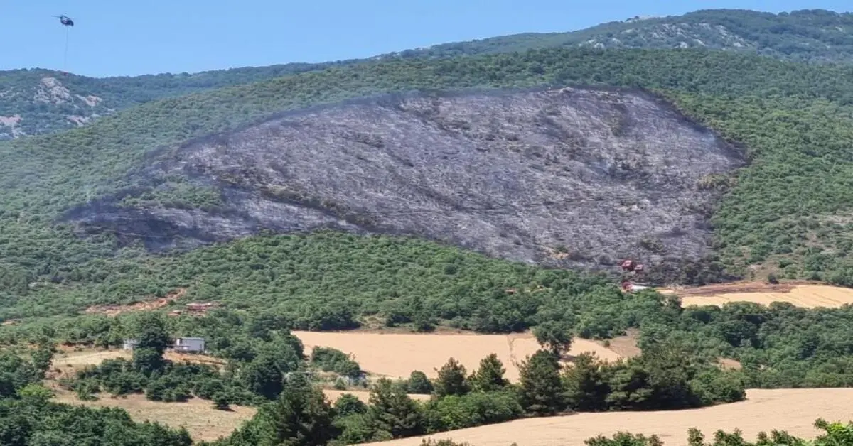 Genç Gazete Yenişehir’deki Orman Yangını Havadan Ve Karadan Müdahaleyle Söndürüldü
