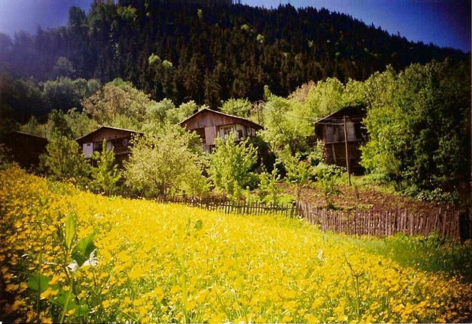 İnegöl Gürcü Köyleri; İnegöl'de Yaşayan Gürcü Kültürü Inegol Gurculeri Gencgazete (31)