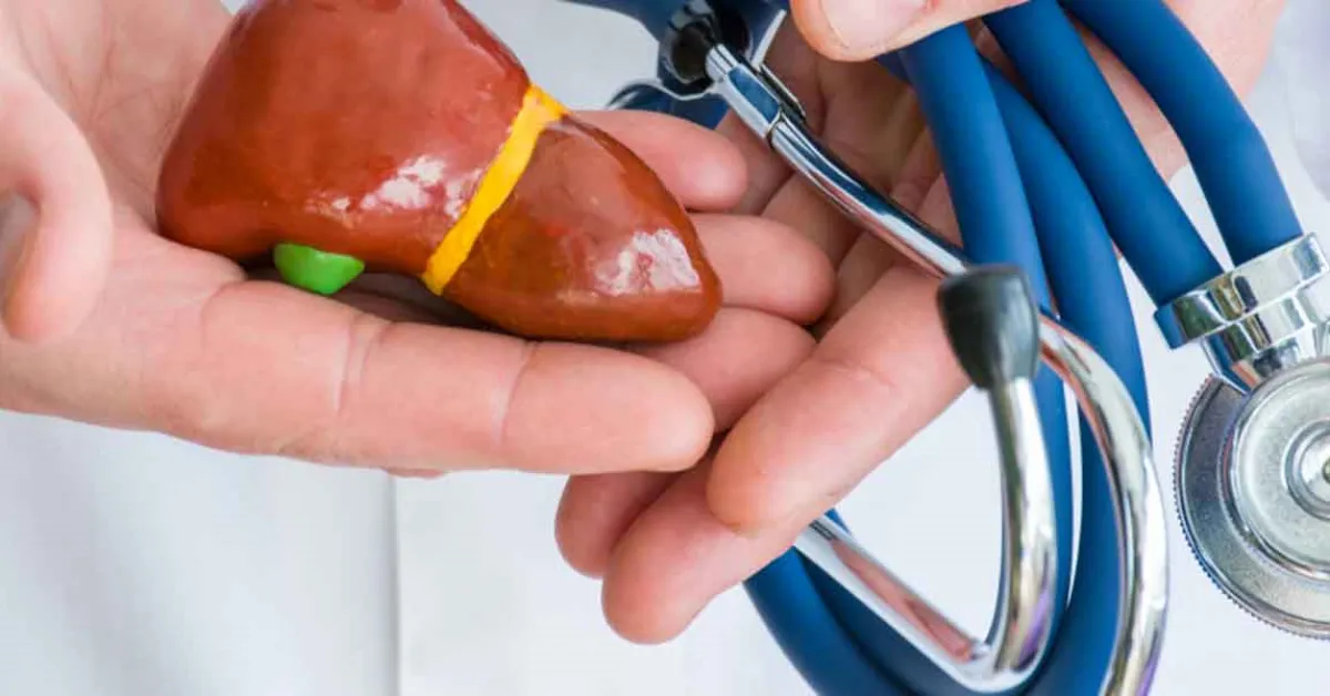 Karaciğer Neden Büyür, Büyümüş Bir Karaciğer Hangi Sağlık Sorunlarına İşaret Edebilir (3)