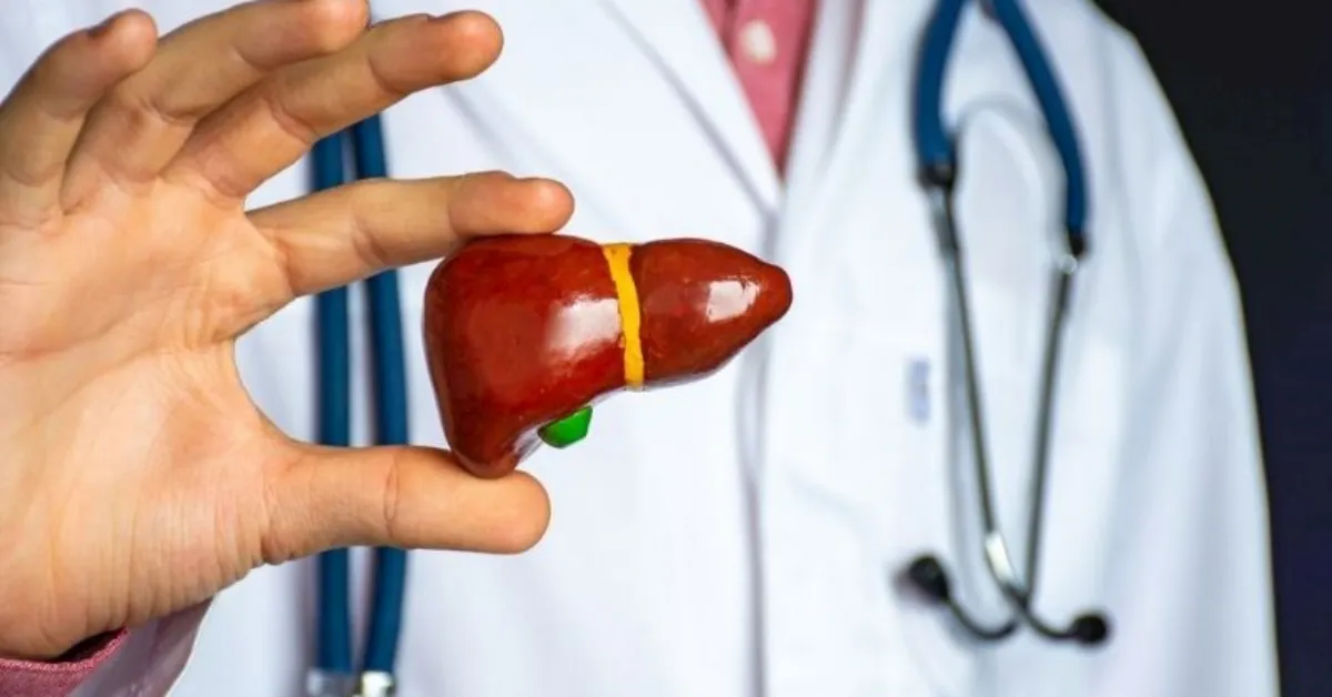 Karaciğer Neden Büyür, Büyümüş Bir Karaciğer Hangi Sağlık Sorunlarına İşaret Edebilir (4)