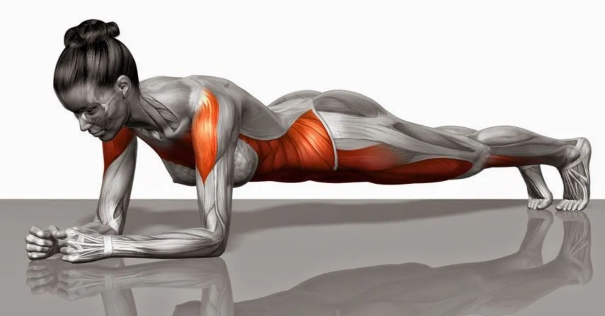 Sadece 1 Dakikada Tüm Vücudu Çalıştırıyor! Plank Egzersizi Nedir, Nasıl Yapılır, Ne İşe Yarar Gencgazete