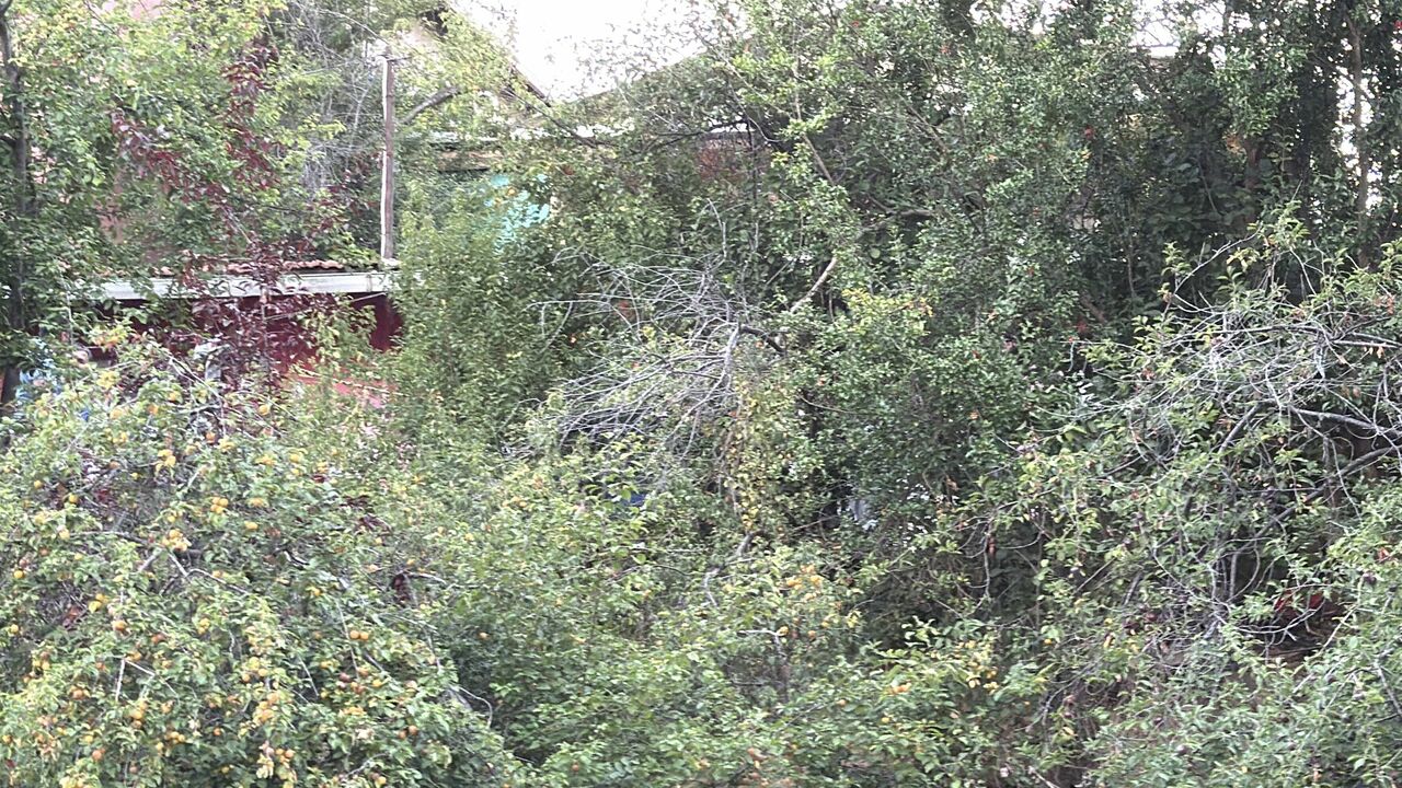 Sarıyer’de Sevgililer Başlarından Vurulmuş Halde Ölü Bulundu (4)