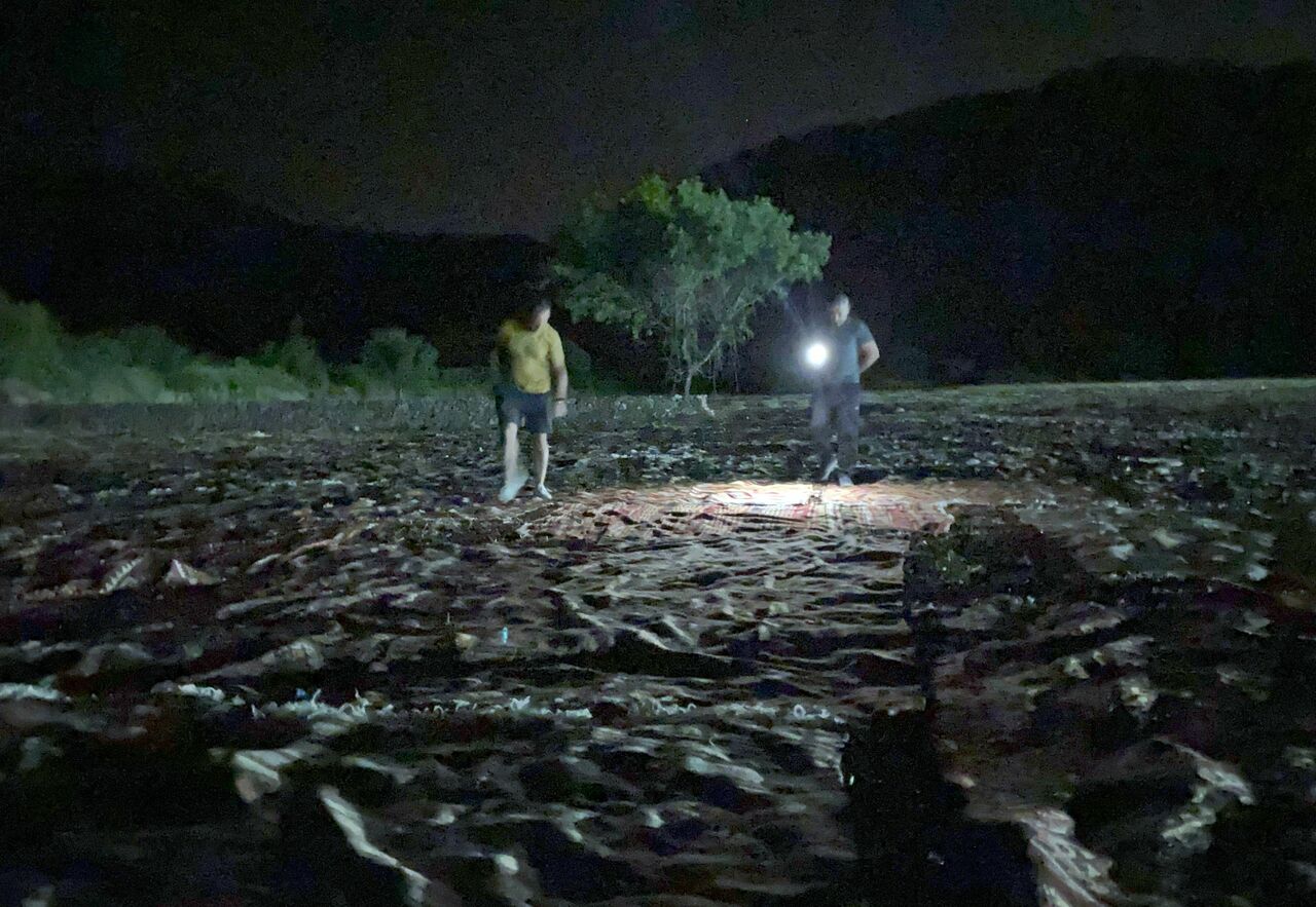 Tarlalarda Milyonluk Halı Nöbeti Başladı (3)