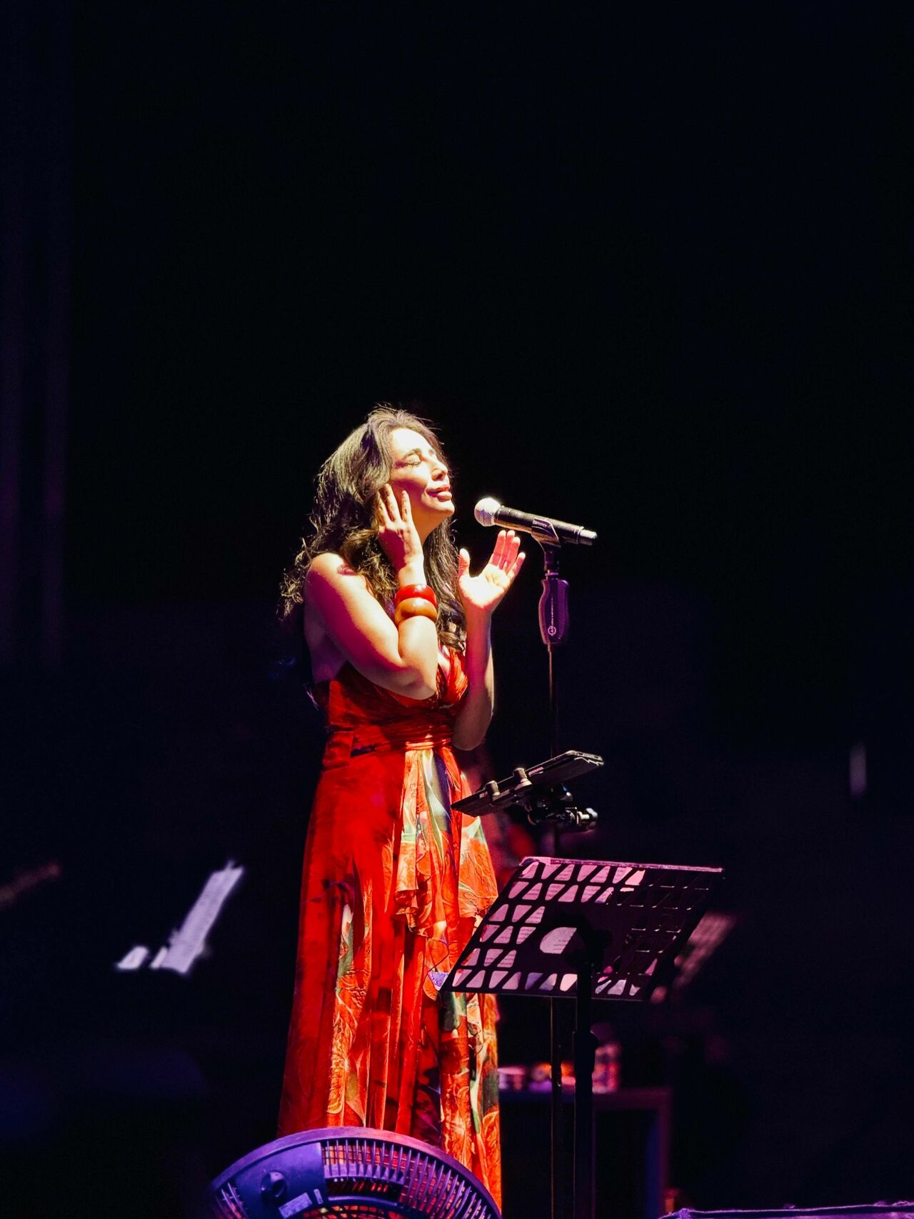 Ünlü Sanatçı Gürman, Bodrum’da Müzikseverlerle Unutulmaz Bir Gece Yaşattı (1)