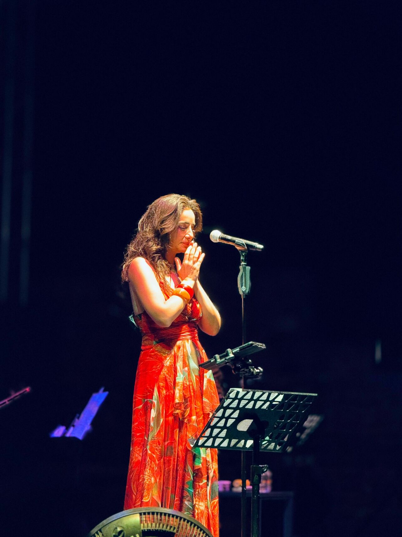 Ünlü Sanatçı Gürman, Bodrum’da Müzikseverlerle Unutulmaz Bir Gece Yaşattı (2)