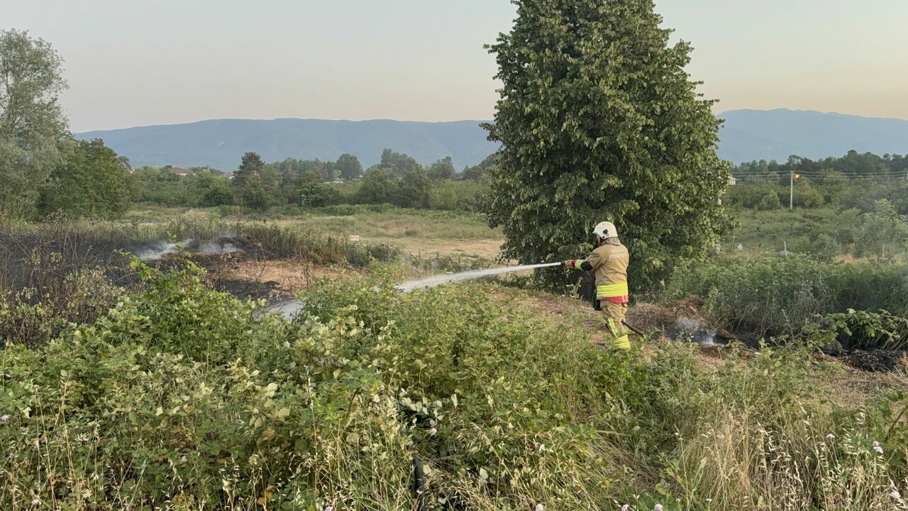 Yol Kenarına Atılan Izmarit, Otları Yaktı (4)