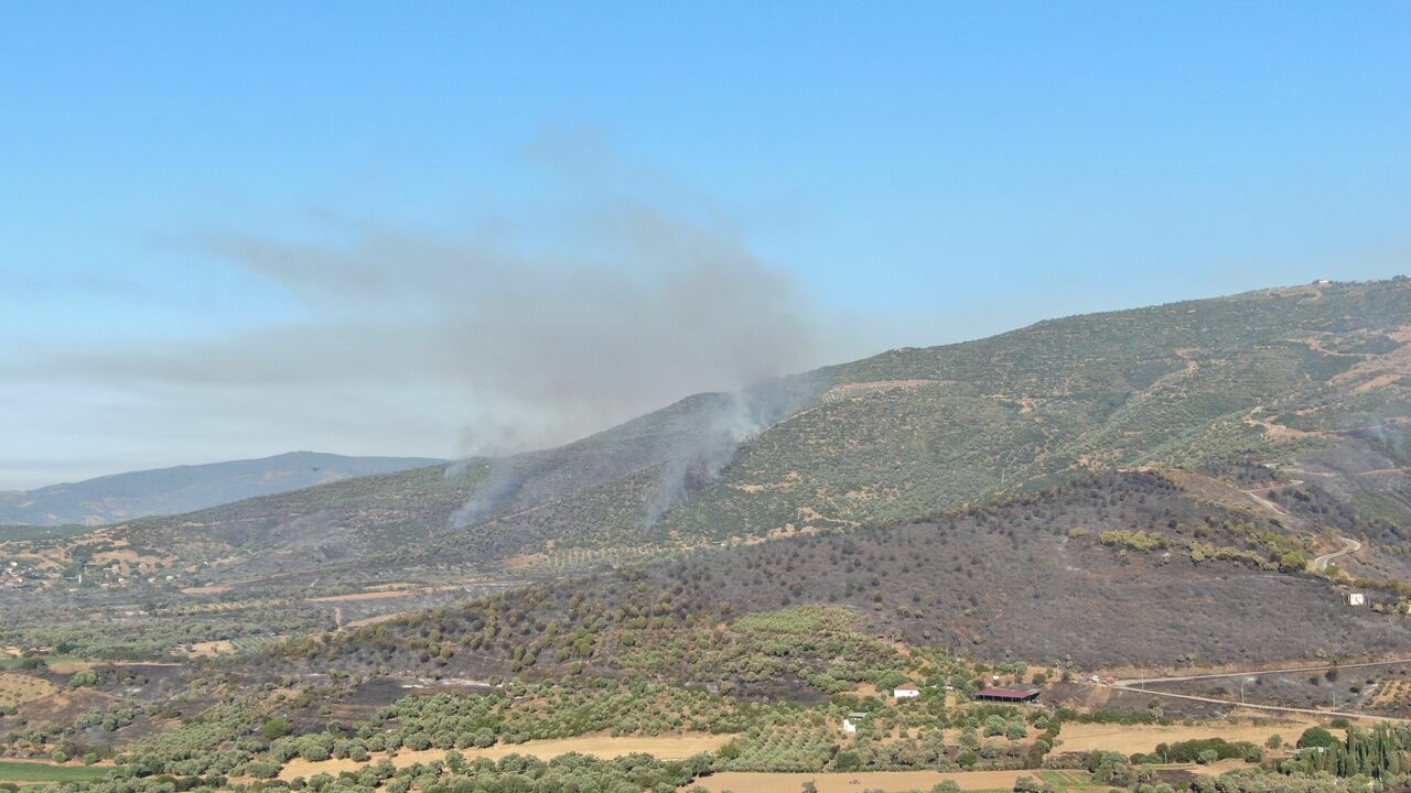 3 Gündür Devam Eden Orman Yangını Sonrası Ödemiş'in Dağları Siyaha Büründü (2)
