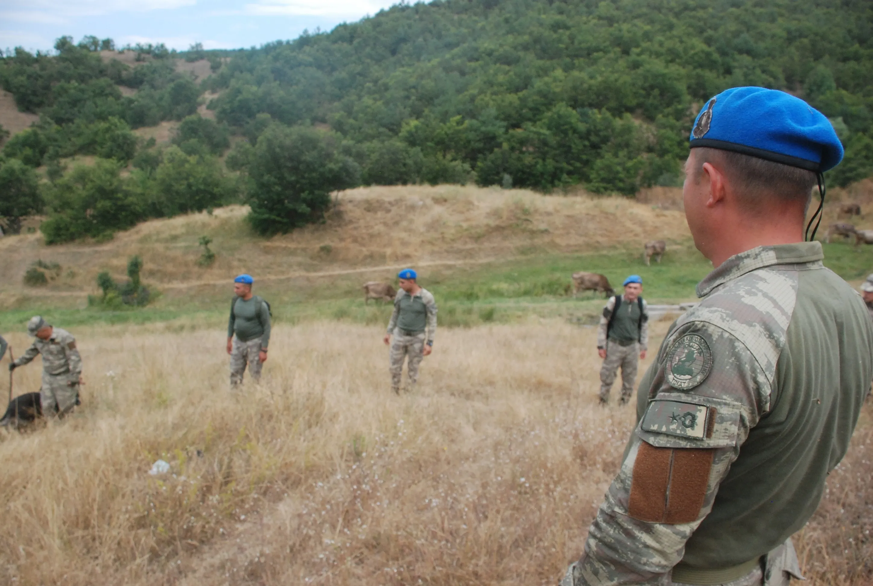 3,5 Yaşındaki Evrim Atış, 7 Yıldır Kayıp! (3)