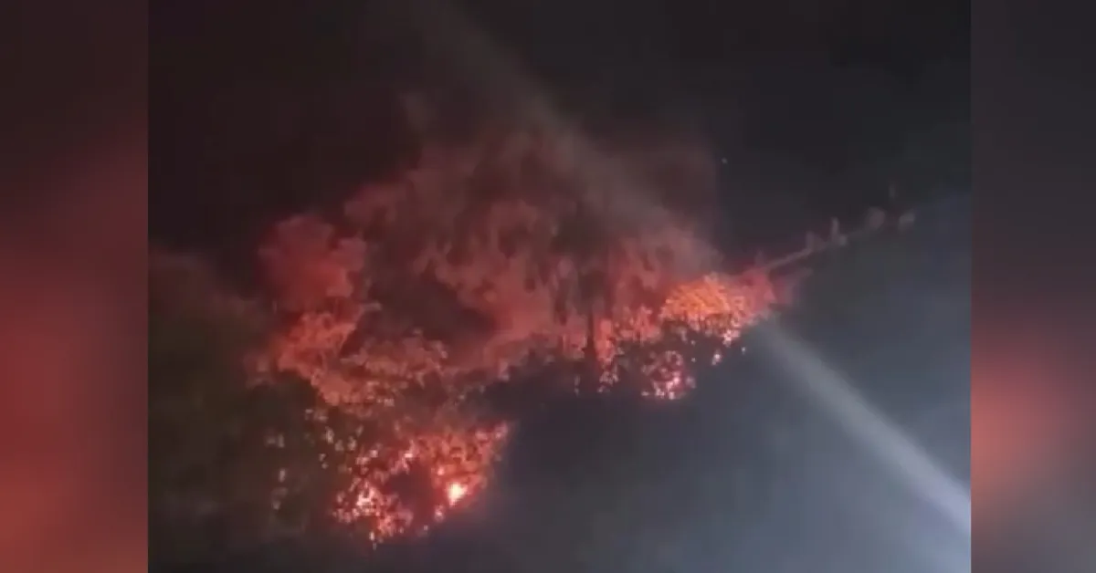 A T T I K L A R I H A V A I F I S E K Y A N G I N C I K A R D I 4 839434 248804 Gencgazete