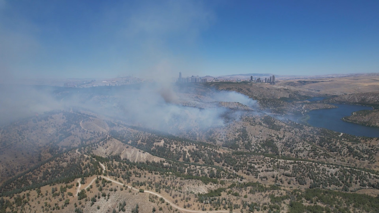Ankara'da Orman Yangını (3)