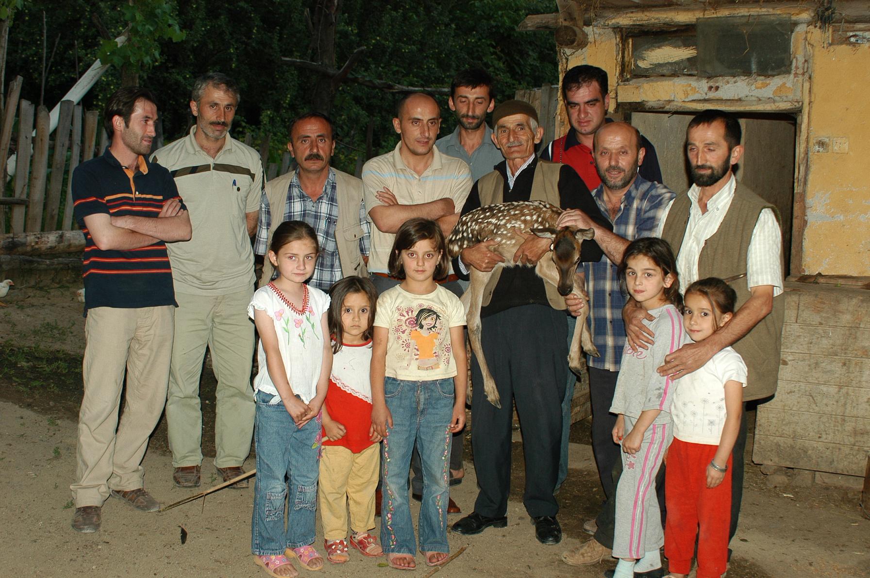 Bahçekaya'da Annesi Ölen  Ceylana İnek Annelik Yapıyor  Arsivden Haber Gencgazete (2)