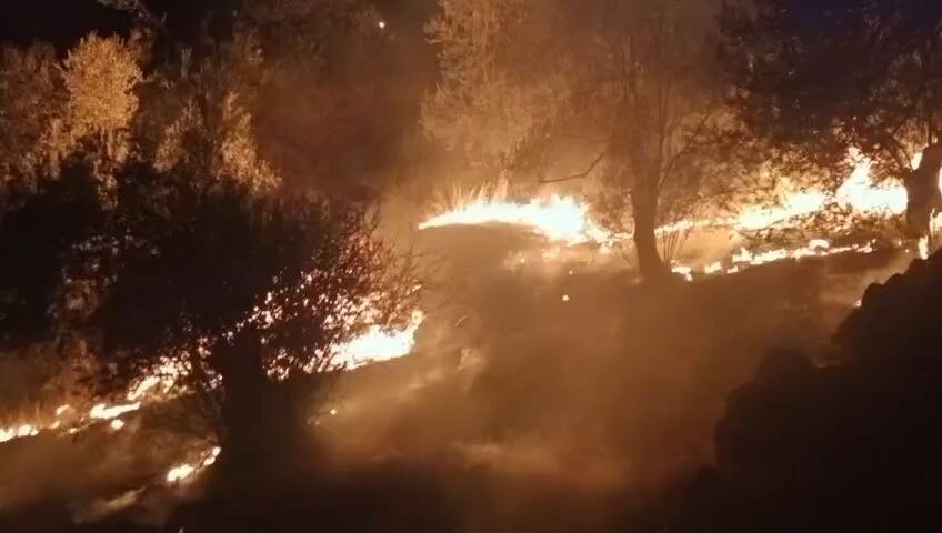 Balıkesir'de Zeytinlik Alanda Çıkan Yangına Ekipler Müdahale Ediyor (2)
