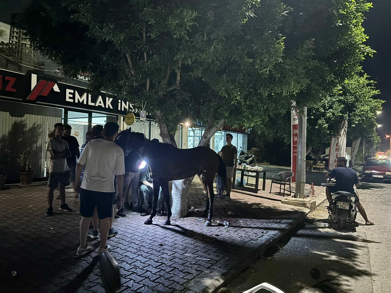 Başıboş Gezen At Kazaya Neden Oldu 3 Kişi Yaralandı (3)