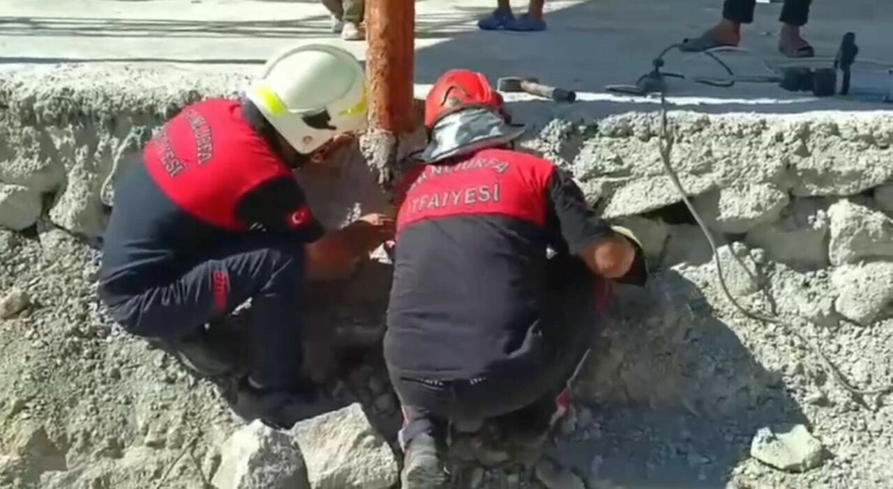 Betonun Altında Mahsur Kalan 2 Kedi Kurtarıldı (1)