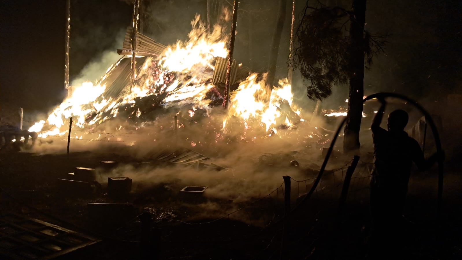 Bilecik'te Dün Gece Başlayan Yangında 95 Hayvan Telef Oldu (5)