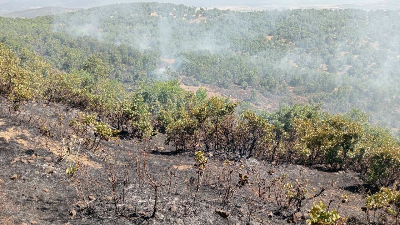 Bingöl’de Orman Yangını Kontrol Altına Alındı (2)