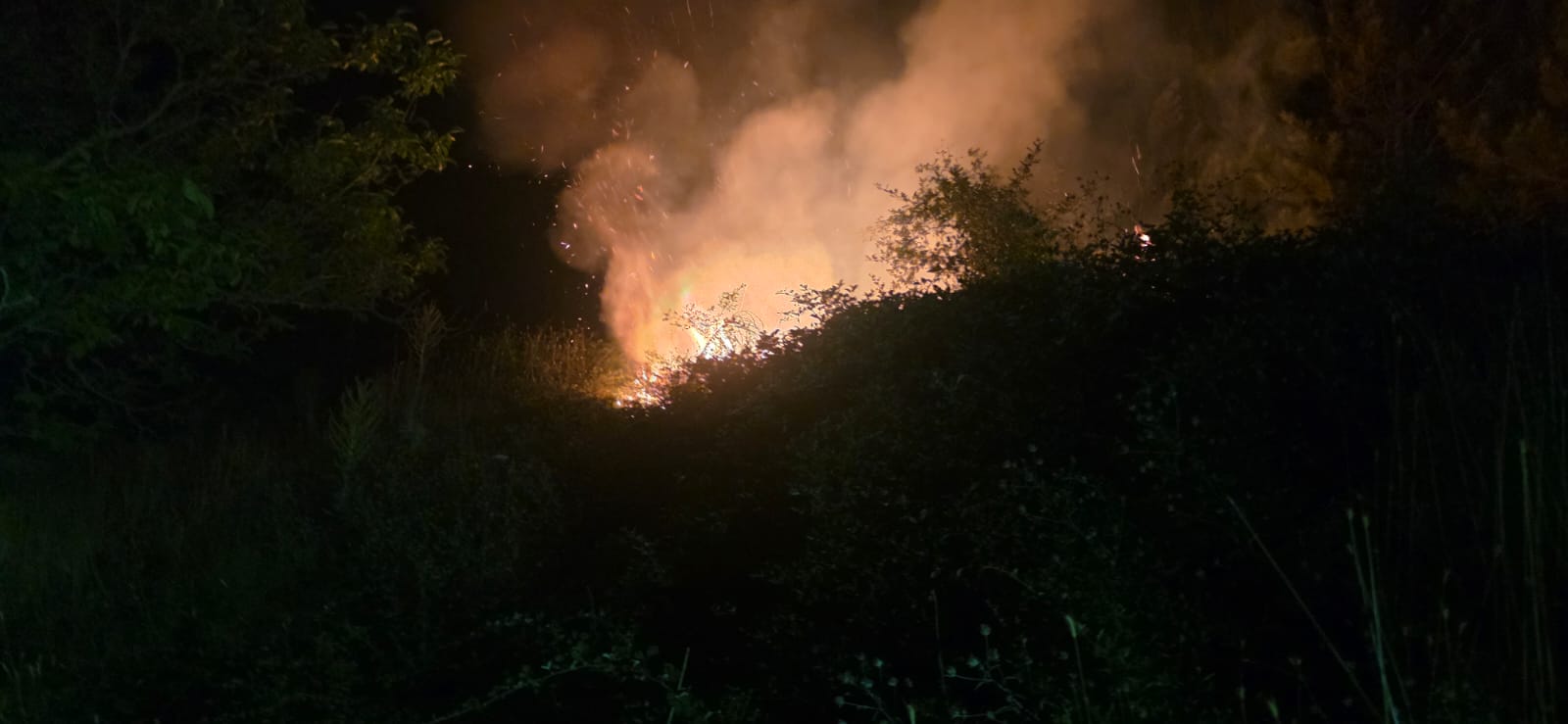 Bolu’da Örtü Yangını (5)
