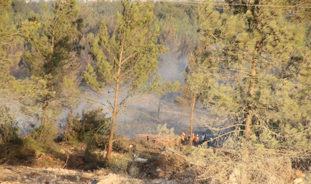 Buca'daki Orman Yangınıyla Ilgili 2 Şüpheli Gözaltına Alındı (2)