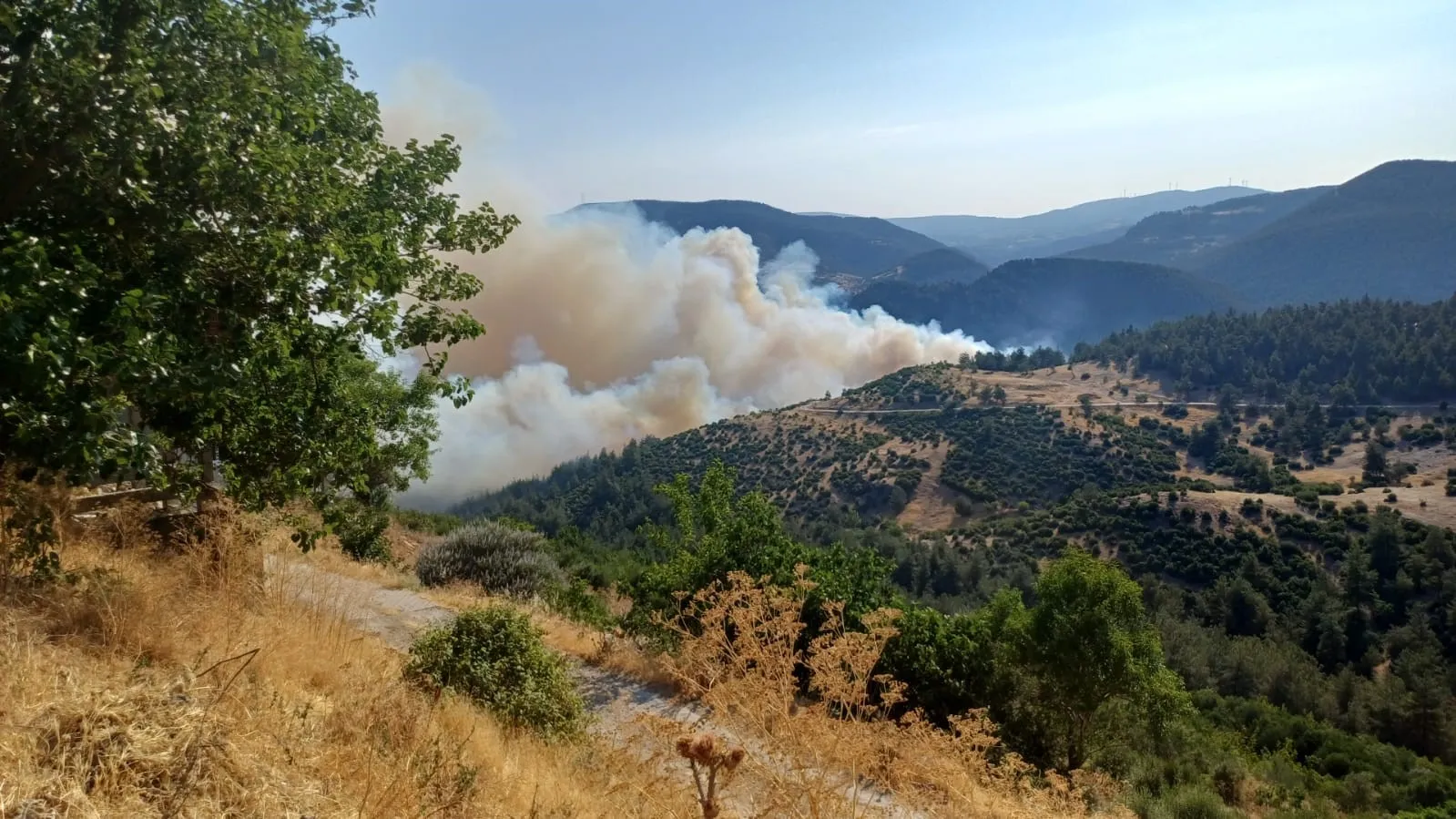 Bursa Balıkesir Sınırında Orman Yangını (6)