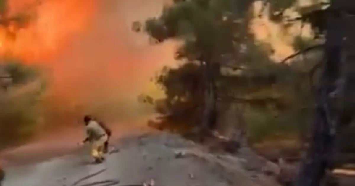 Bursa Orman Yangını-2