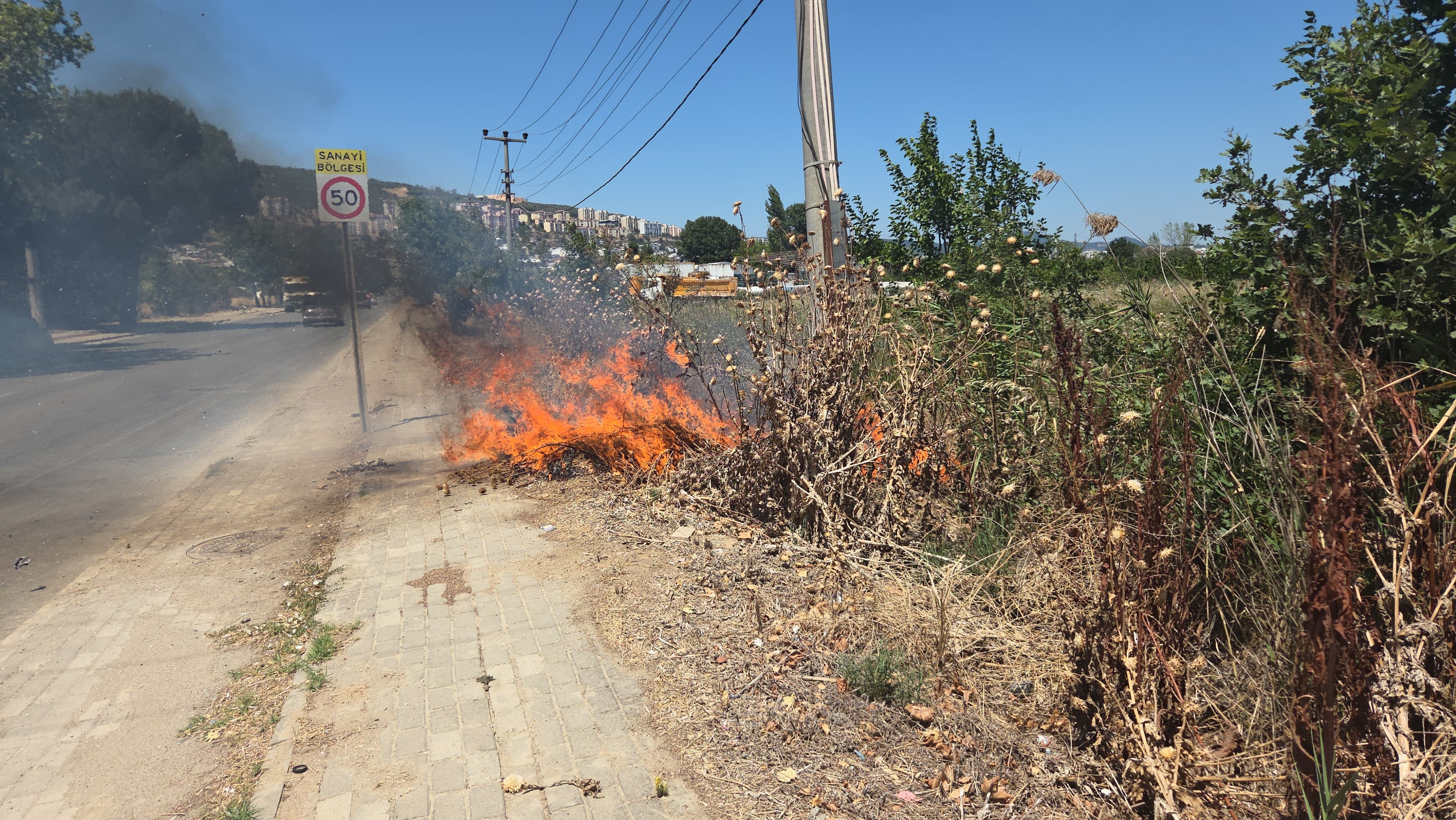 Bursa’da Otluk Alanda Korkutan Yangın (1)