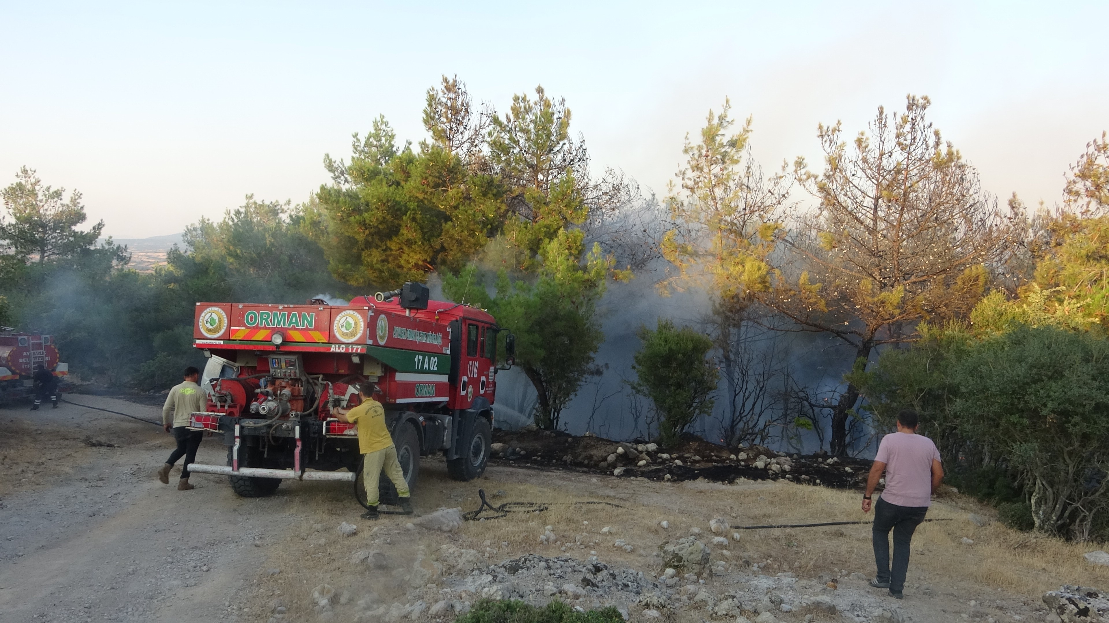Çanakkale'de Park Halindeki Midibüste Çıkan Yangın Ormana Sıçradı (5)