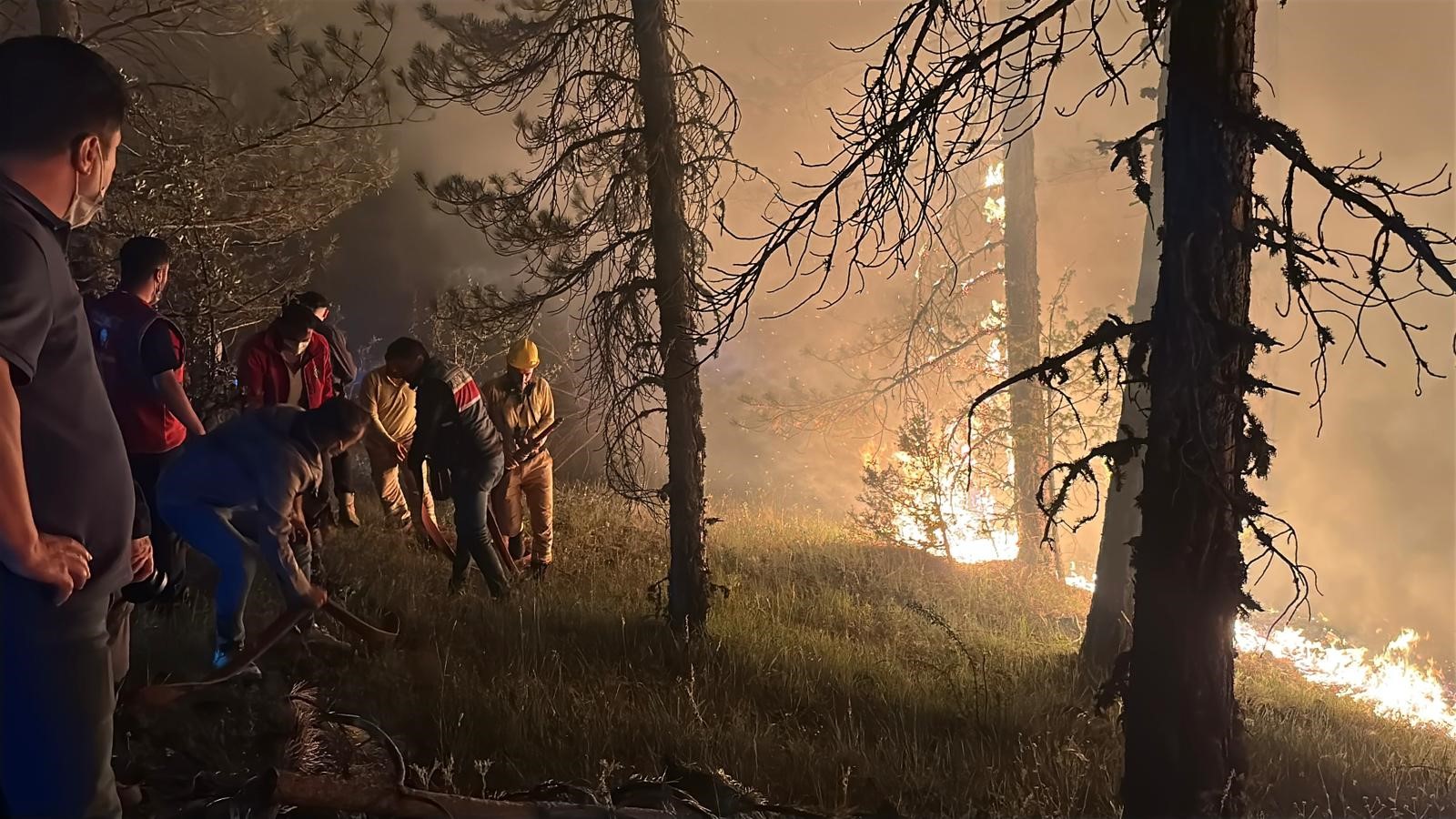 Çankırı'daki Orman Yangınına Müdahale 4 Saattir Sürüyor (2)