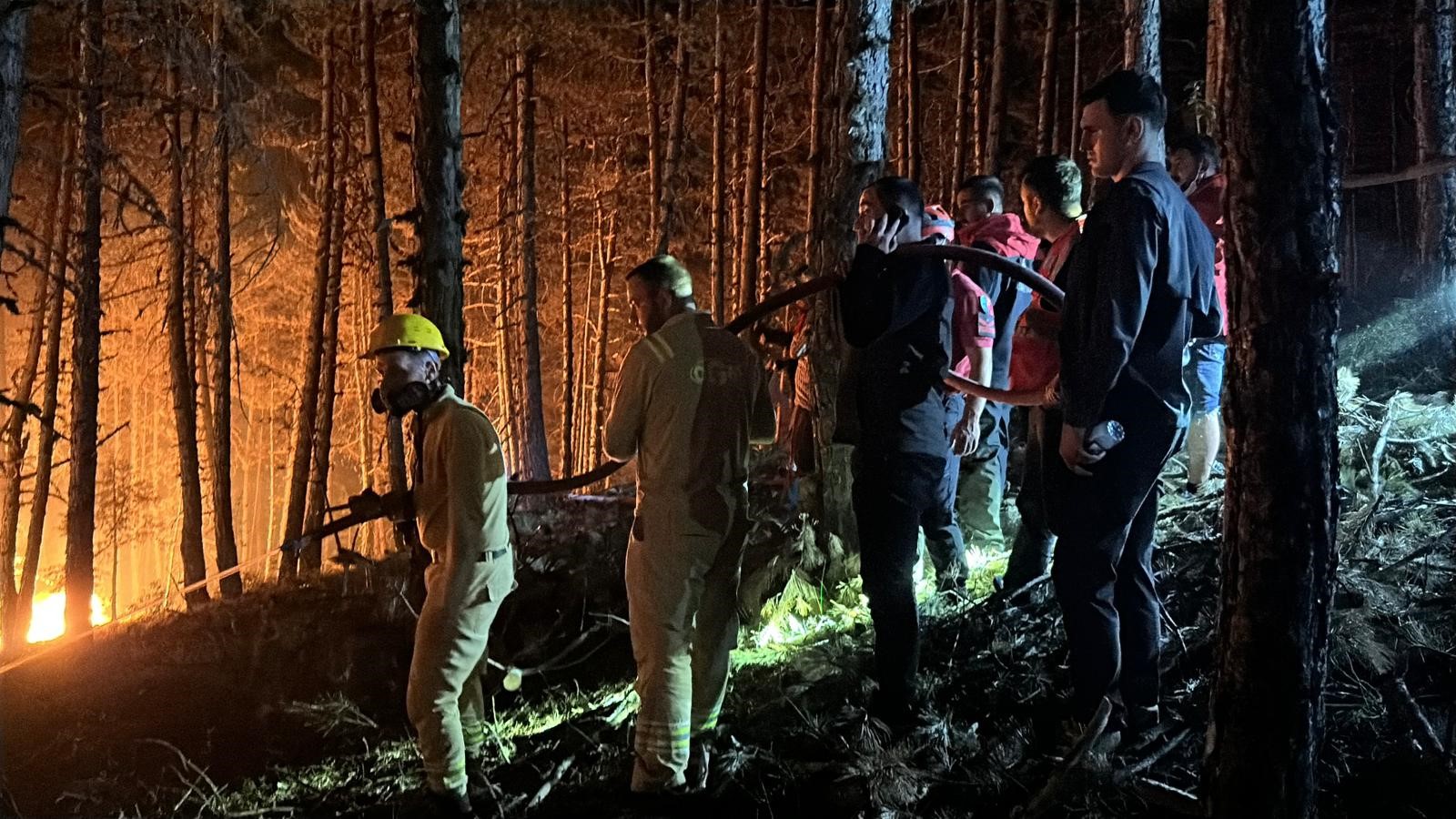 Çankırı'daki Orman Yangınına Müdahale 4 Saattir Sürüyor (3)