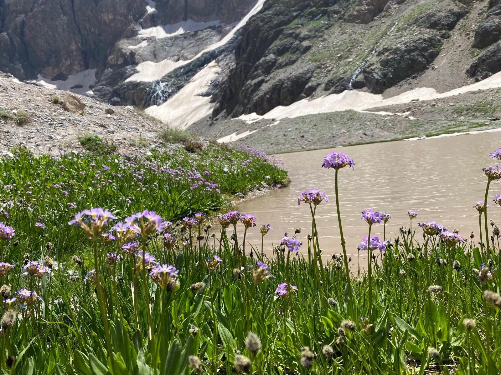 Cilo Dağı'nda Buzullar Hızla Eriyor (4)