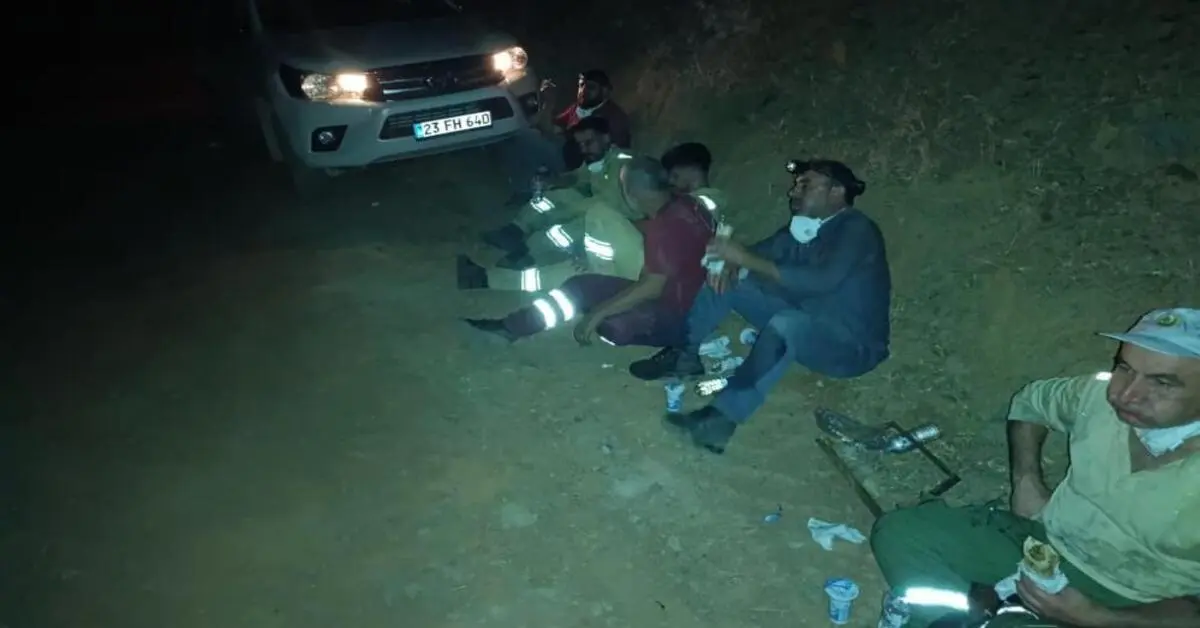 Genç Gazete Ahır Yangını Ormana Sıçradı 2 Orman İşçisi Dumandan Etkilendi 1