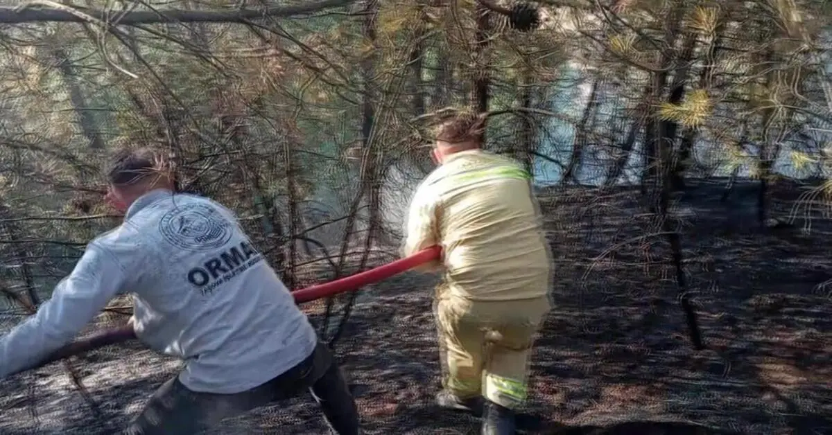 Genç Gazete Amasya’da Orman Ve Tarım Arazisinde Yangın 25 Dekar Alan Zarar Gördü 1