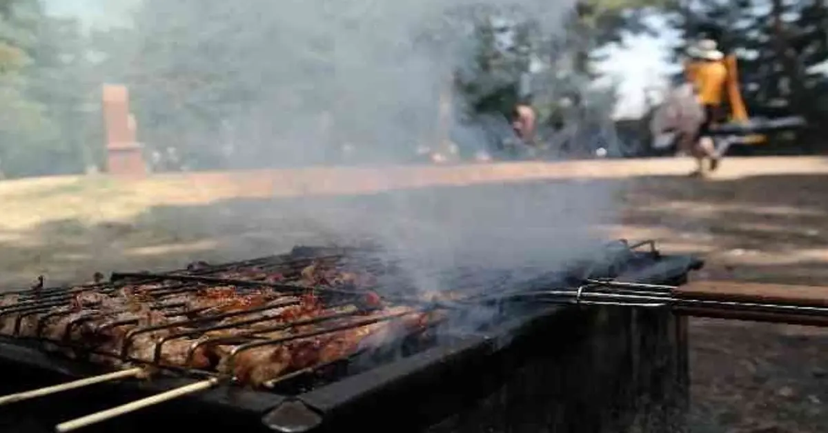Genç Gazete Ankara’da Mangal Yasağı Geldi Mi İşte Bilmeniz Gerekenler