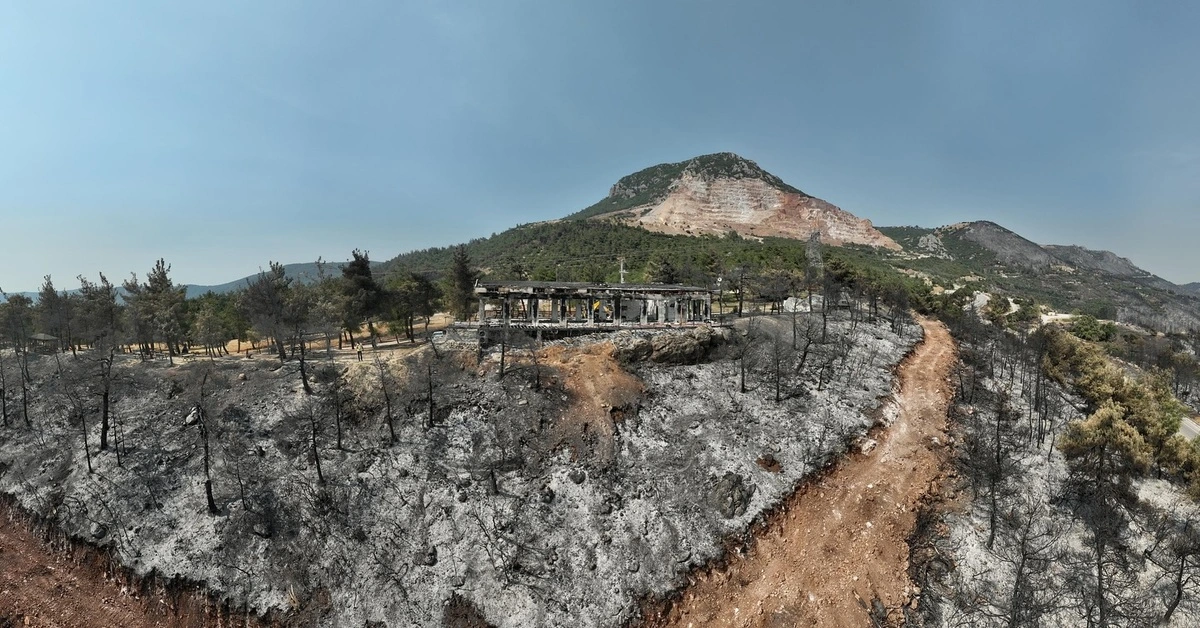 Genç Gazete Başkan Işık'tan Yangın Sonrası Yürek Yakan Paylaşım “Ciğerlerimiz Yandı!” 1