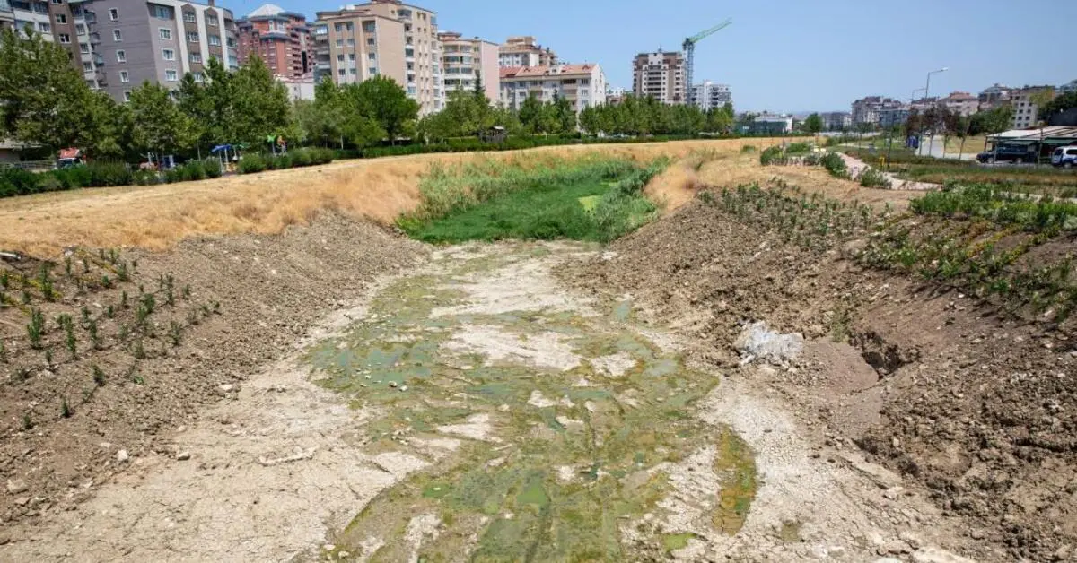 Genç Gazete Bursa Büyükşehir Ayvalı Dere’de Temizlik Ve Islah Çalışmalarına Başladı 1