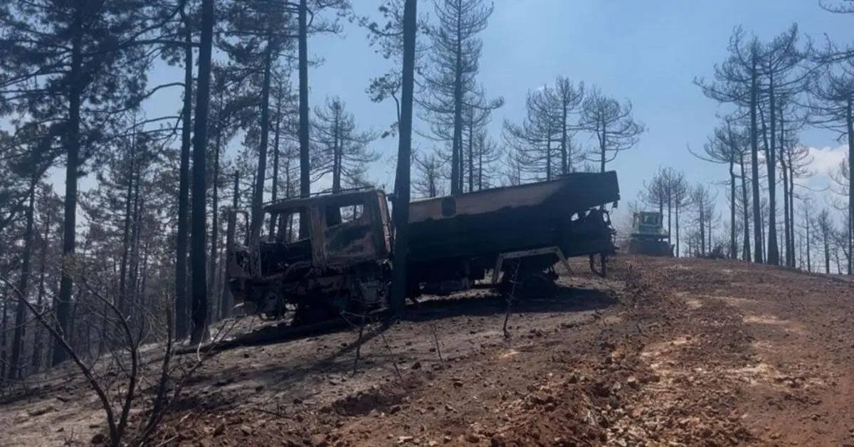Genç Gazete Bursa Harmancık'ta Alevler Ogm Kamyonunu Küle Çevirdi 2
