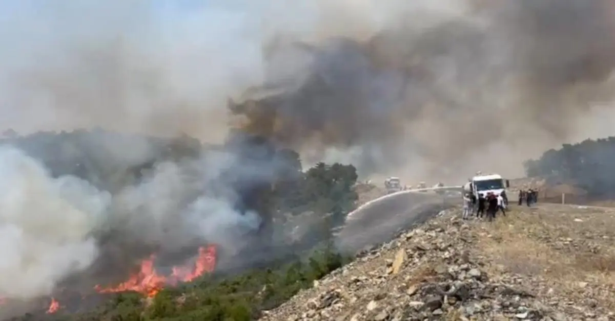 Genç Gazete Bursa Harmancık'ta Alevler Tekrar Yükseldi 1