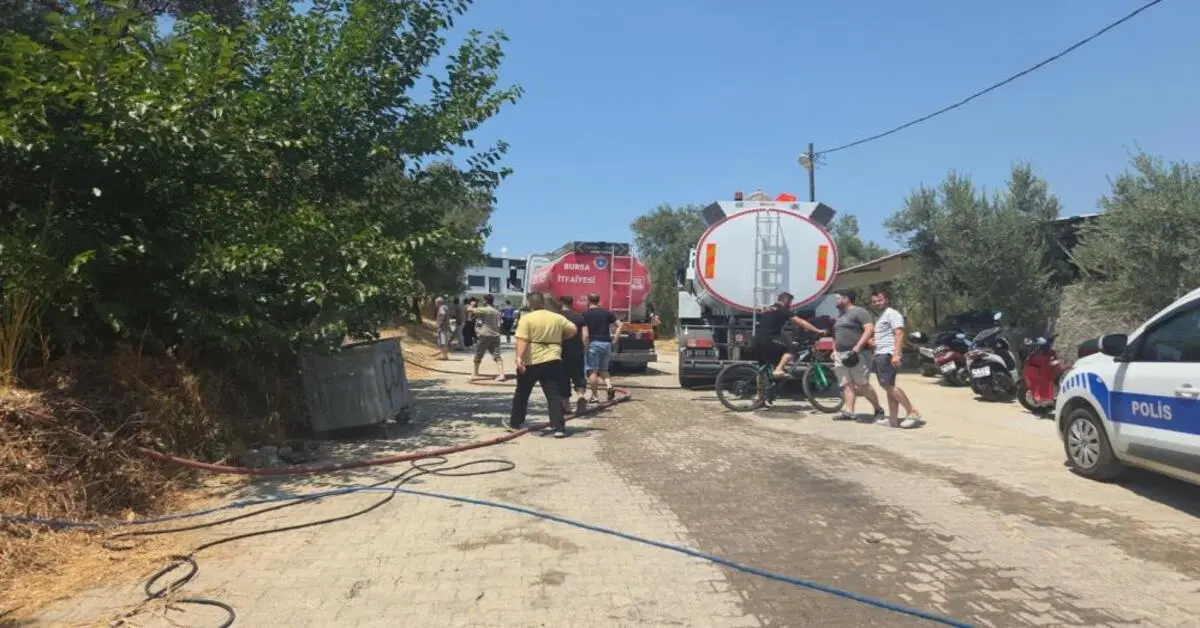 Genç Gazete Bursa'da 20 Zeytin Ağacı Yandı 2 Çocuk Gözaltına Alındı 11